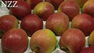 Der Apfel, die knackige Verf&uuml;hrung - Dokumentation von NZZ Format (1998)