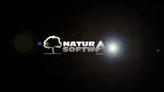 Rubros y Subrubros familias de productos by NaturalSoftware - Jazz Sistema de Gestion