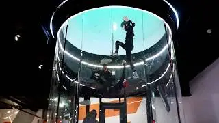 2VFS Цыбулин 17022019