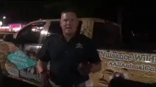 EMERGENCY BAT REMOVAL