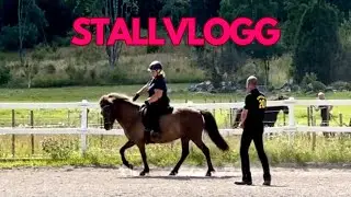 STALLVLOGG - åker på träning med en av hästarna