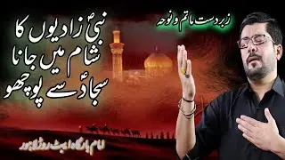 Mir Hassan Mir |  Afsoos Nabi Zadiyon ka | noha | gulistan e zehra Imam bargha Abbott road Lahore
