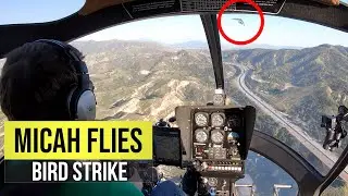 I Hit a Bird With My Helicopter