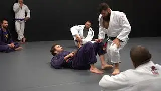 How To Back Step Pass With Prof. Fabiow