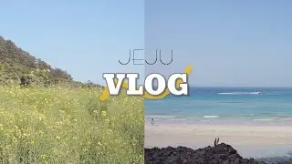 [TRIPLOG] 5월의 제주_처음 홀로 뚜벅이 제주도 여행