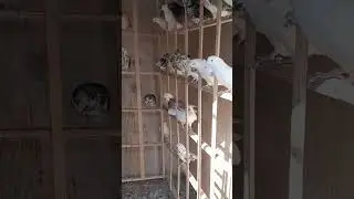 ۱۱ اکتبر ۲۰۲۵
