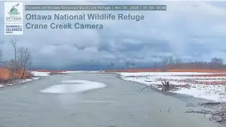 Waking Up to a Winter Wonderland | Ottawa National Wildlife Refuge Live Cams