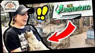Brian Barczyk's Reptarium and Legasea ALL TO MYSELF! [Behind The Scenes]
