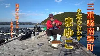 【サリサリ放談】水産部の海洋生物資源調査 夕飯のおかずまゆこ。#石鯛 #石垣鯛 #真鯛 #クッキング#ハゲ