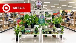 New Live Houseplants at Target