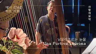 사랑의묘약