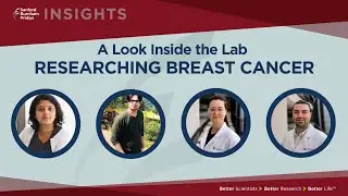Insights: A Look Inside The Lab &ndash; Researching Breast Cancer
