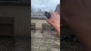 Umarex XBG .177 Caliber BB gun shooting test
