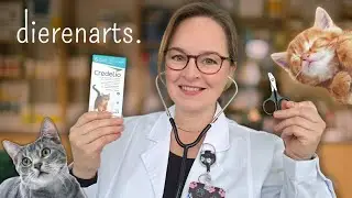 ASMR | dierenarts 🐈 | geluidseffecten overlay | roleplay