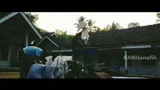 Giling Basah (Semi Washed/Wet Hulled)