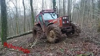 Débardage 2016
