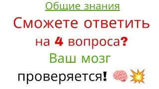 Сможете ответить на 4 вопроса? Ваш мозг проверяется! 🧠💥