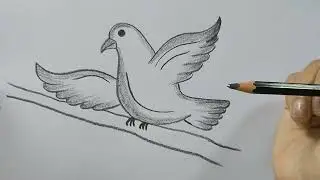 How to draw a BIRD Easy Drawing | Simple Drawing | art for kids
