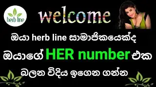 How to find your her number on herb line/herb line online business/herbline system training/Srilanka