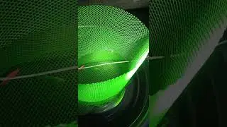 tetra glow fish breeding