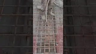 A Civil engineer's job routine #civilengg #heavycivil #buildingconstruction #civilengineering