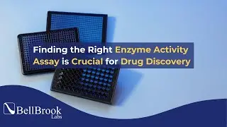 Finding the Right Biochemical Assay for HTS and Lead Discovery