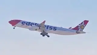 BEAUTIFUL AFTERNOON TAKEOFF EDELWEISS AIR AIRBUS A340-313 at ZURICH AIRPORT (ZRH || LSZH)