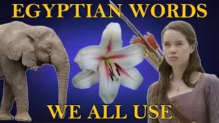 Egyptian Words in English (1 - Animal & Vegetable)