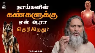 நாய்களின் கண்களுக்கு ஏன் ஆரா தெரிகிறது?.. #yogisraja #aura #dog #soul #enlightenment