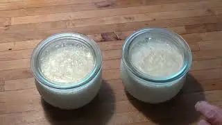 Greek sheep`s milk yogurt - delicious!