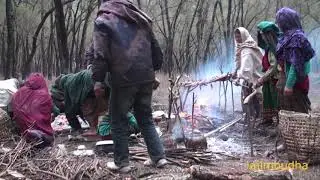 the life into the jungle || himalayan woolen blanket trader ||