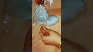 soap holder at rs//117//(meesho order) #shots #viralvideos