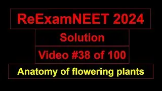 ReExam NEET 2024- Dicot leaf anatomy - adaxial and abaxial surface - palisade and spongy mesophyll