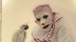 Squelettes, taxidermie, fant&ocirc;mes : le duo Mothmeister expose son univers po&eacute;tico-mortuaire &agrave; Jette