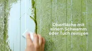 Reinigen einer vermoosten Fasade mit Biosativa&reg; Bio Reiniger | CCM