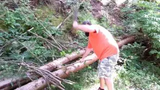 Busse WTF BG chopping sticks.