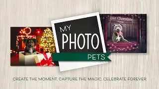 Create Holiday Magic with My Photo PETS | A Virtual Holiday Experience