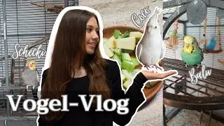VOGEL-VLOG | Alltag, Ausmisten, Emotional-Bachelorarbeit-Support