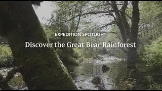 Expedition Spotlight: Discover the Great Bear Rainforest | Lindblad Expeditions