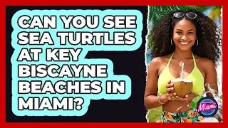 Can You See Sea Turtles At Key Biscayne Beaches In Miami? - Everything About Miami