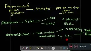 ATP synthesis during light reaction, Role of DCMU and Paraquat