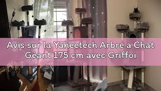 Avis sur la Yaheetech Arbre a Chat G&eacute;ant 175 cm avec Griffoir Arbre &agrave; Chat Design Arbre &agrave; Gratter To