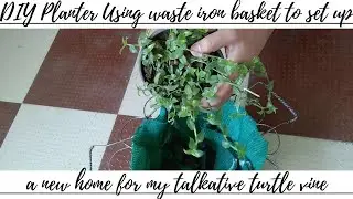 DIY Planter🌿Using waste iron basket to set up a new home for my talkative turtle vine😁🌿