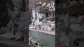 The wonderful miracles of nature🍃🇯🇵😇 #japan #nature #naturelovers #naturemiracle