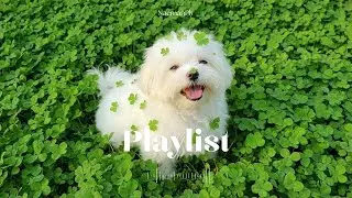 Playlist |🍀2026년, 듣는 순간 행운이 찾아오는 기분 좋은 팝송 모음 🎧 𝐺𝑜𝑜𝑑 𝐿𝑢𝑐𝑘 𝑡𝑜 𝑌𝑜𝑢 | 중간광고없음