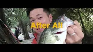 Bass Fishing Lures 5