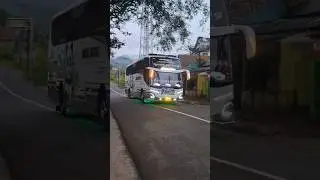 TELOLET BASURI BUS KIDS PANDA BAIK RASA #teloletbasuri #busmania