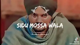 Tera husn tikhi Talwar Jatt da India Musa Sunita new song