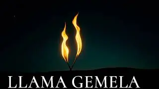 Llama Gemela — Amor que Trasciende el Tiempo y el Destino
