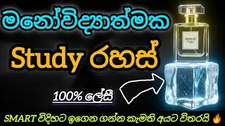 ​මේ අමුතු රහස් දැනගත්තොත් විභාගෙ ගොඩ! 🧊🔥 | Study Hacks 